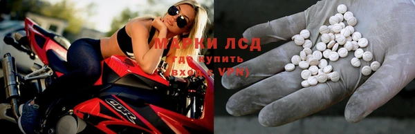 амф Аркадак