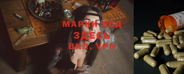 spice Балабаново