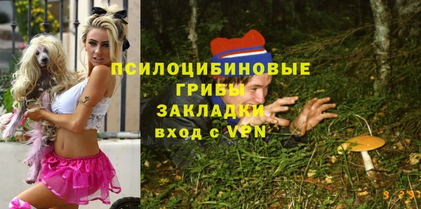 spice Балабаново